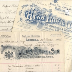 Receipts for plants supplied to the Rothschild estate at Aston Clinton 1905
