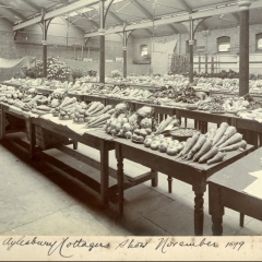 Produce from Aston Clinton on display at the Aylesbury Cottager's Show 1899